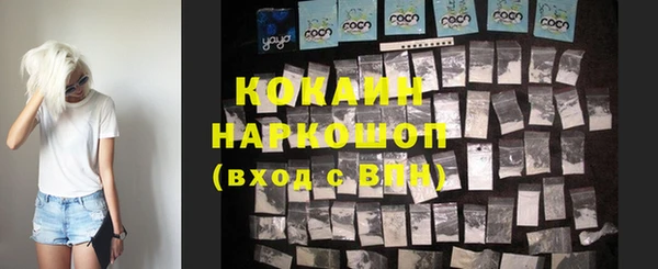 сатива Россошь