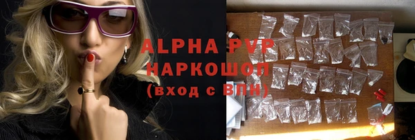 сатива Россошь