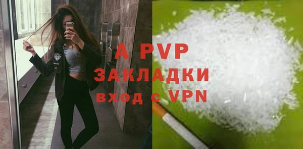 тгк Ростов