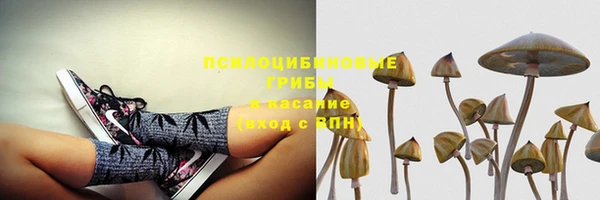 тгк Ростов