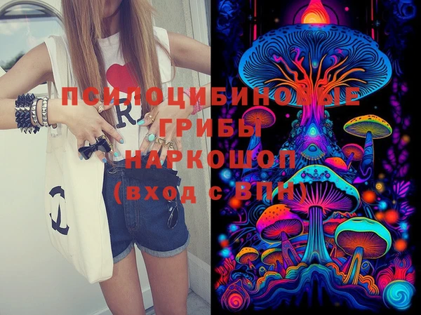 тгк Ростов