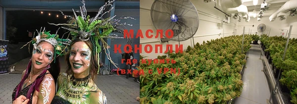 сатива Россошь