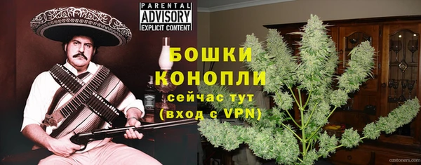 сатива Россошь