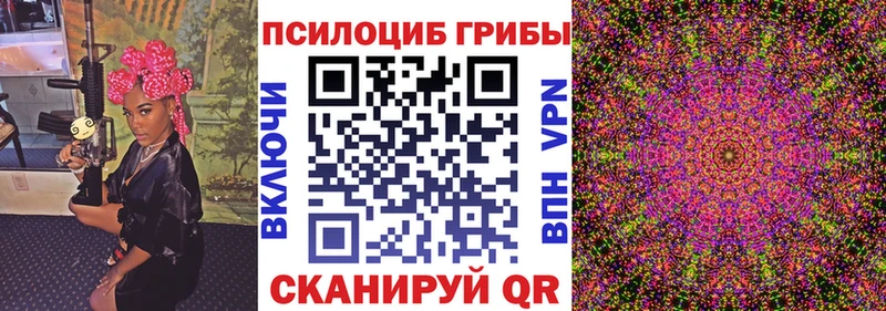 Купить  Светогорск  Галлюциногенные грибы Magic Shrooms 